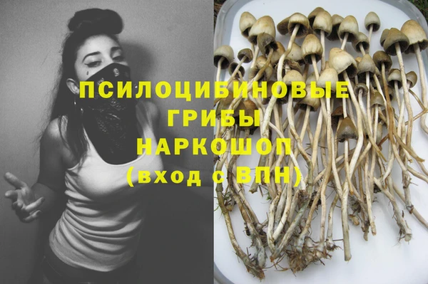 дурь Володарск
