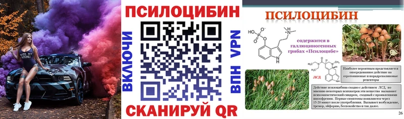 Галлюциногенные грибы Psilocybe  Красногорск 